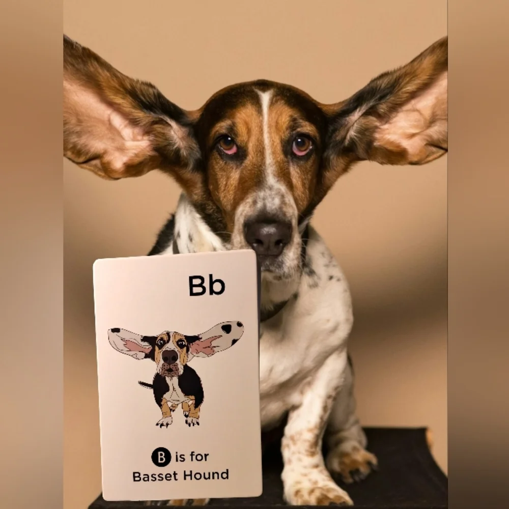 Sketch & Paws Dog Breed Flash Cards